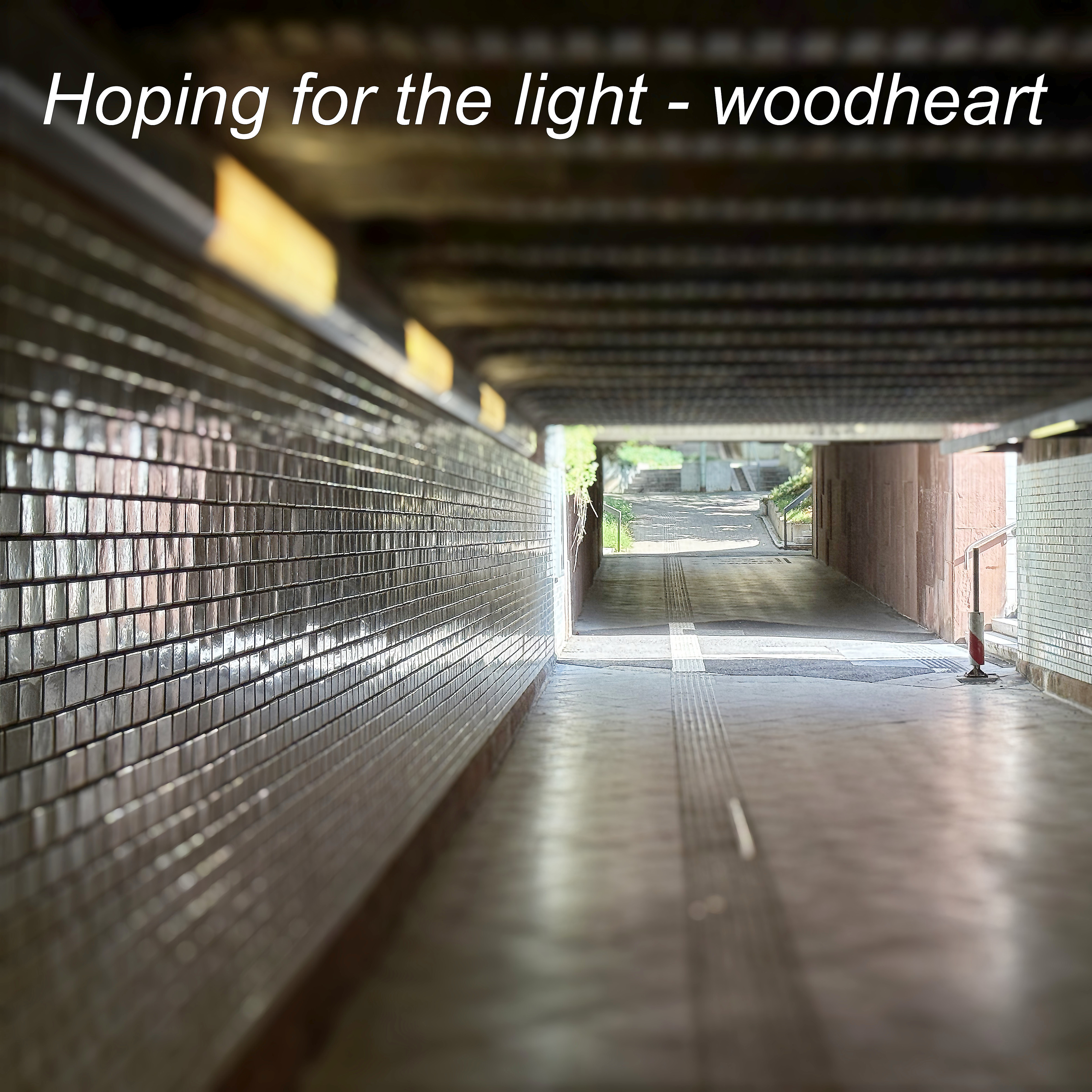 Hoping For The Light cover